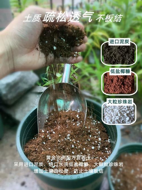 园土是什么土,怎么改良种花,园土怎么配比成营养土?-第3张图片-优品飞百科 园土是什么土,怎么改良种花,园土怎么配比成营养土?-第3张图片-优品飞百科
