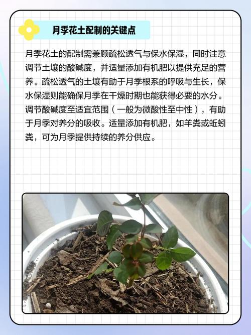 园土是什么土,怎么改良种花,园土怎么配比成营养土?-第5张图片-优品飞百科 园土是什么土,怎么改良种花,园土怎么配比成营养土?-第5张图片-优品飞百科