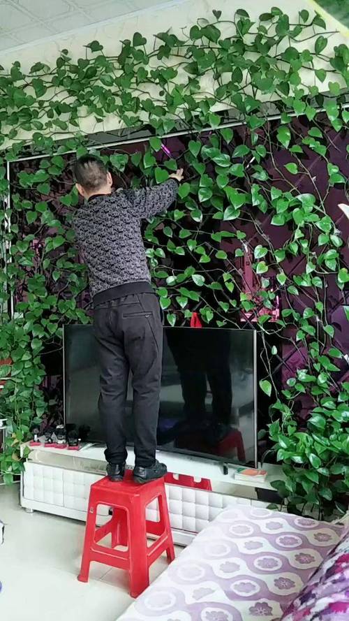 绿萝叶子能用啤酒擦吗，绿萝叶子用啤酒擦拭起什么作用？-第4张图片-优品飞百科