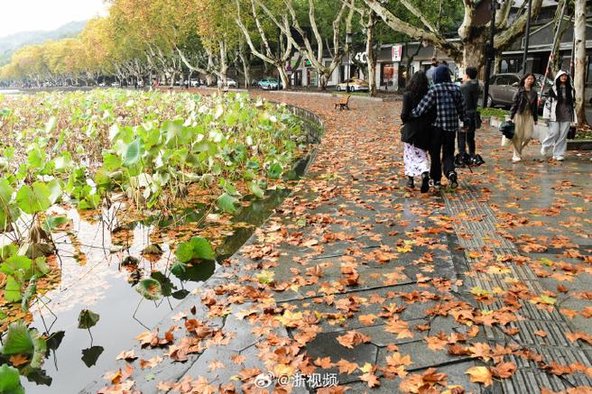 杭州天气西湖区天气预报7天?杭州市西湖天气预报了7天?-第2张图片-优品飞百科 杭州天气西湖区天气预报7天?杭州市西湖天气预报了7天?-第2张图片-优品飞百科