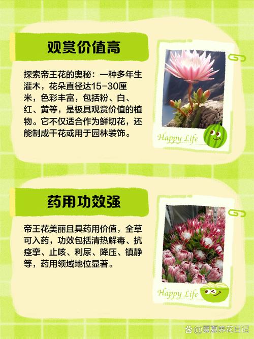 帝王花种子怎么种，帝王花种子怎么种的-第3张图片-优品飞百科