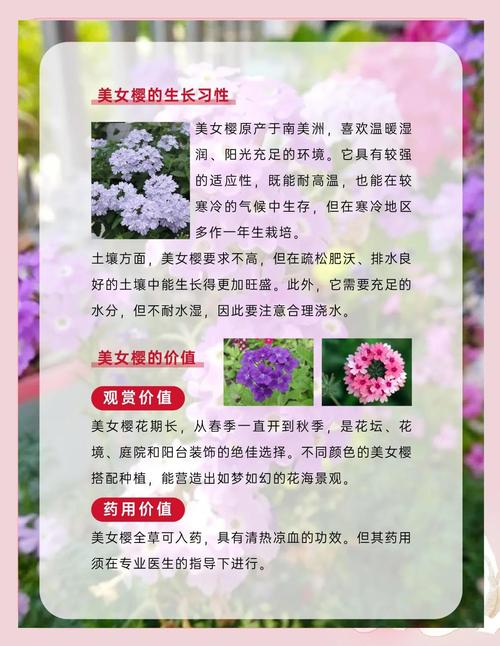 美女樱施什么肥，美女樱施肥可以施尿素吗-第4张图片-优品飞百科