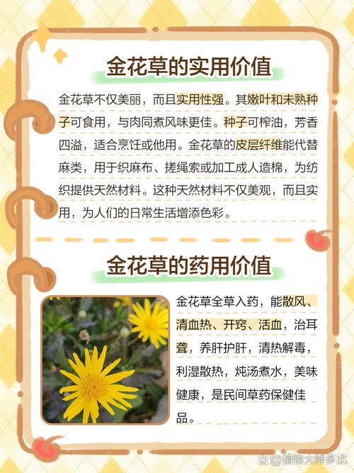 磨盘草的功效与作用，磨盘草的功效与作用及食用方法-第4张图片-优品飞百科