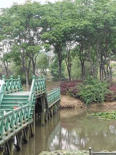 上海嘉定一周天气，上海嘉定20天天气-第7张图片-优品飞百科