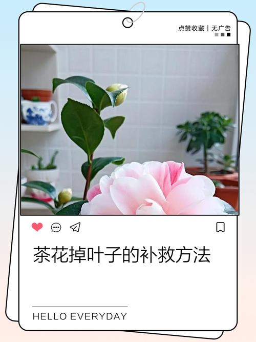 醉鱼草黄叶的原因和处理办法，醉鱼草黄叶的原因和处理办法图片？