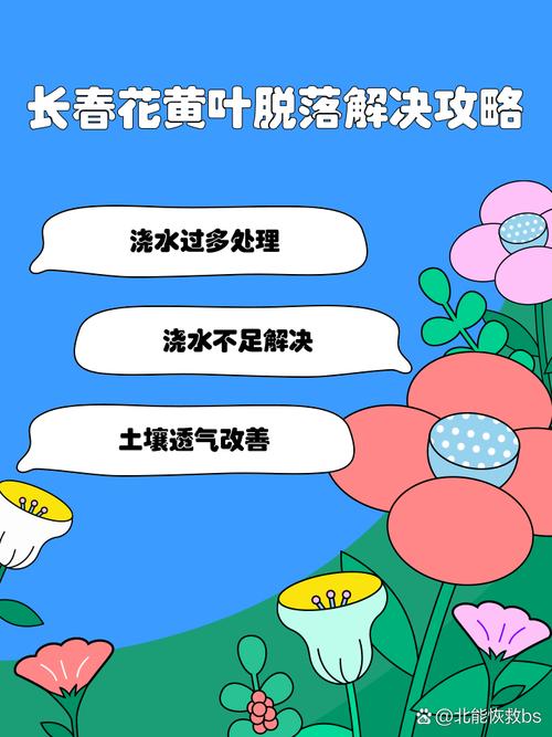 长春花叶子发黄怎么办,长春花叶子发黄怎么办小妙招-第5张图片-优品飞百科 长春花叶子发黄怎么办,长春花叶子发黄怎么办小妙招-第5张图片-优品飞百科