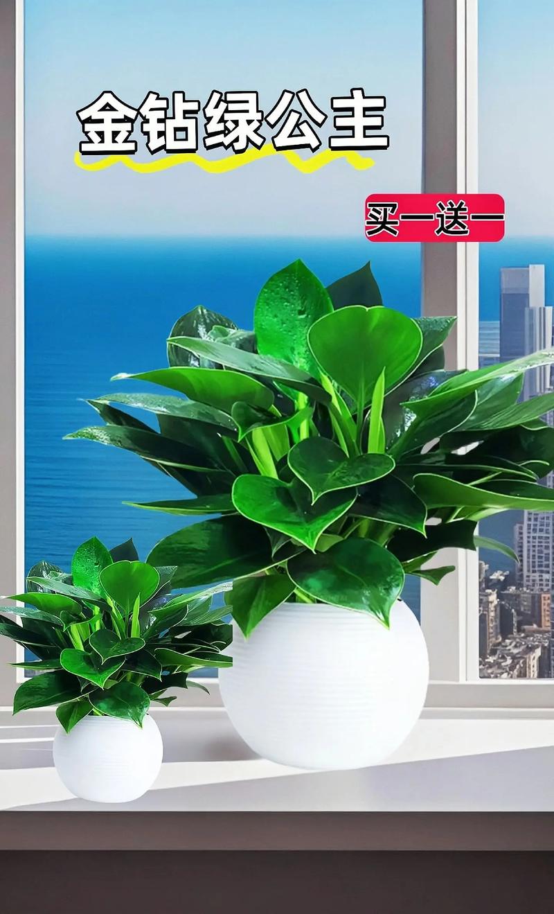 室内净化空气最佳23种植物,室内净化空气什么植物好?-第4张图片-优品飞百科 室内净化空气最佳23种植物,室内净化空气什么植物好?-第4张图片-优品飞百科