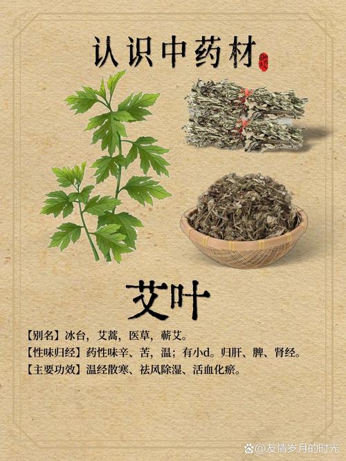 艾叶的作用，艾叶和艾草一样吗，艾叶和艾草的功效是一样的吗-第5张图片-优品飞百科