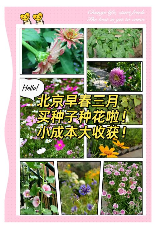 花卉如何播种育苗，花卉如何播种育苗方法？-第1张图片-优品飞百科