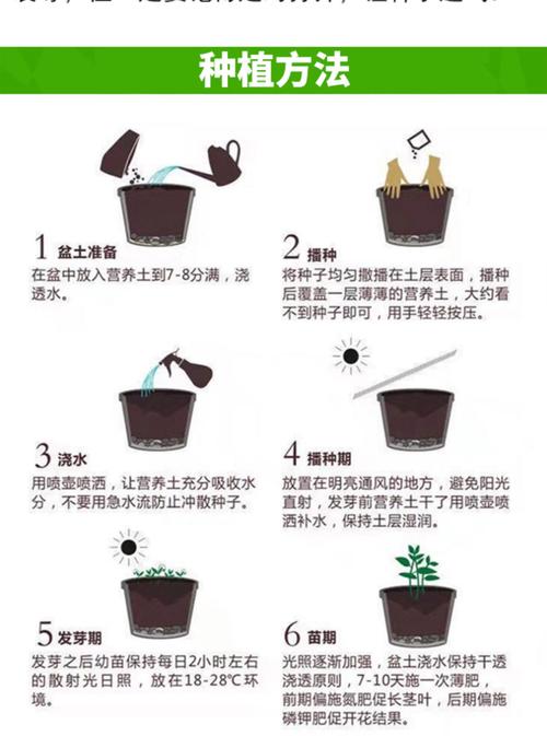 花卉如何播种育苗，花卉如何播种育苗方法？-第2张图片-优品飞百科