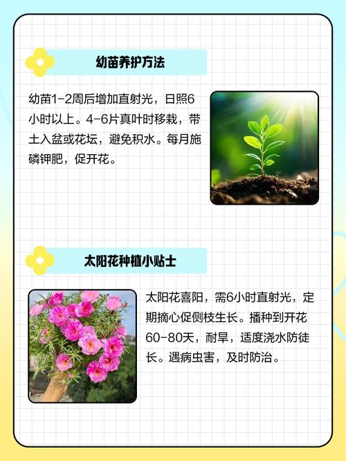 花卉如何播种育苗，花卉如何播种育苗方法？-第4张图片-优品飞百科