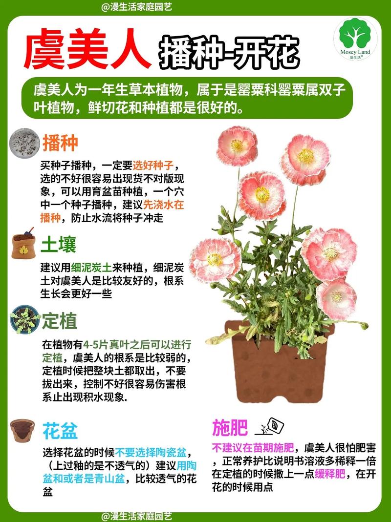 花卉如何播种育苗，花卉如何播种育苗方法？-第5张图片-优品飞百科