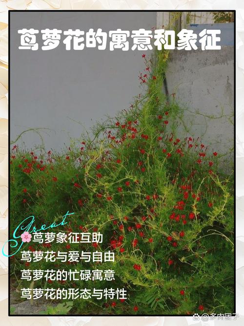 花卉如何播种育苗，花卉如何播种育苗方法？-第6张图片-优品飞百科