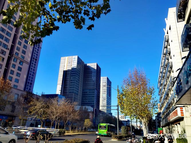 我要看郑州天气预报？我要看郑州天气预报视频？-第4张图片-优品飞百科