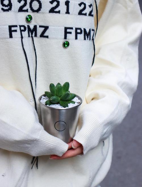 千代田之松怎么养，千代田之松养护-第5张图片-优品飞百科