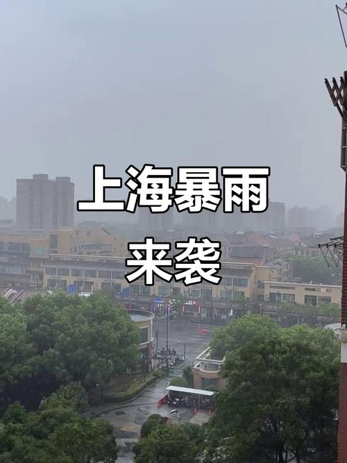 上海闵行天气预报最新查询，上诲闵行区天气预报-第6张图片-优品飞百科