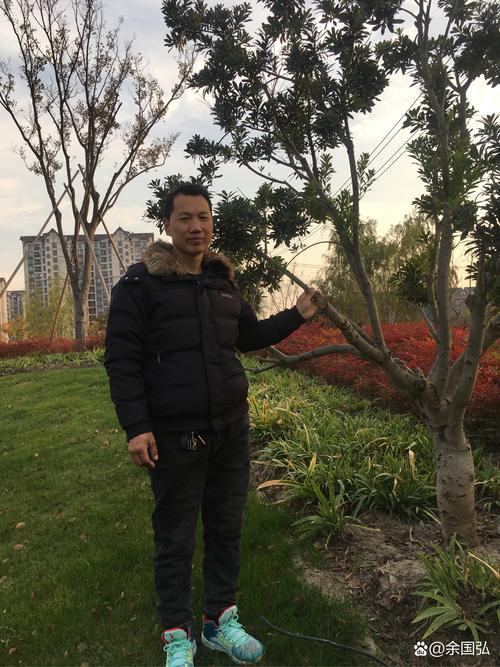 上海闵行天气预报最新查询，上诲闵行区天气预报-第7张图片-优品飞百科