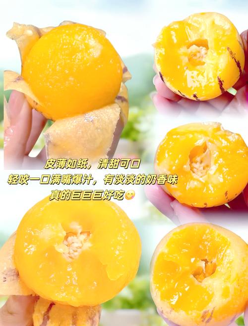 人参果核可以吃吗？为什么中医不建议吃人参果？-第3张图片-优品飞百科