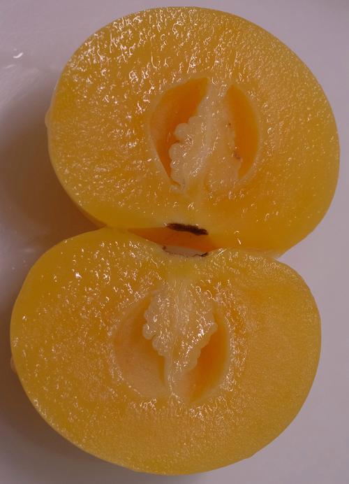 人参果核可以吃吗？为什么中医不建议吃人参果？-第6张图片-优品飞百科