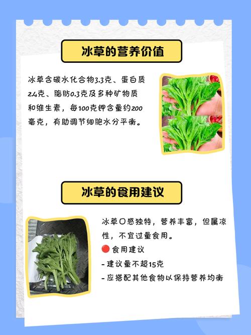 非洲冰草有哪些价值，非洲冰草的营养价值？-第4张图片-优品飞百科