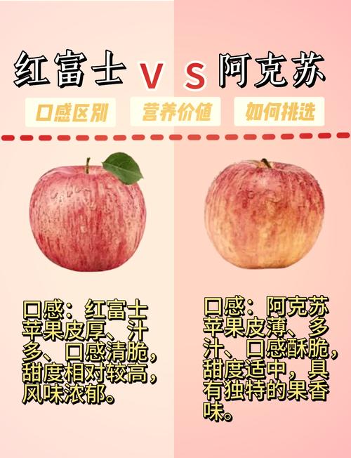 红富士有哪些特征,红富士有哪些特征和作用?-第3张图片-优品飞百科 红富士有哪些特征,红富士有哪些特征和作用?-第3张图片-优品飞百科