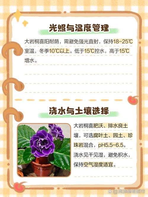 大岩桐怎么养，大岩桐怎么养护？-第7张图片-优品飞百科