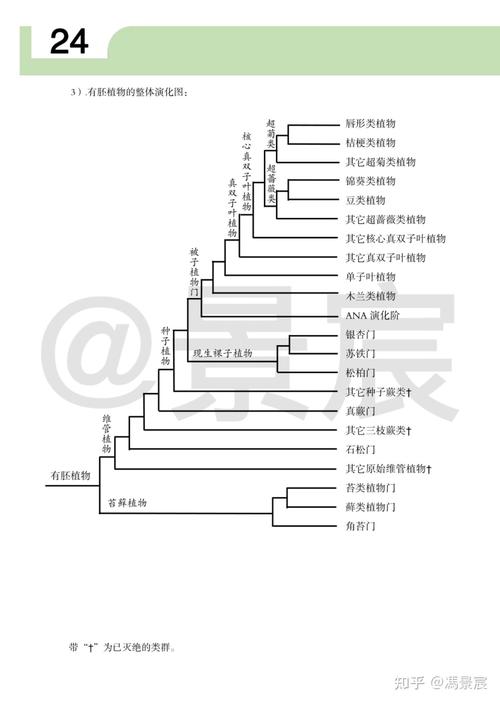 植物的起源和进化过程？植物的起源和进化过程视频？