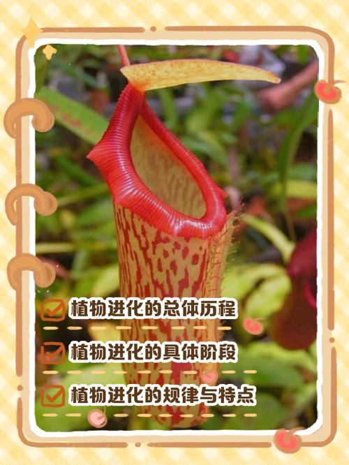 植物的起源和进化过程？植物的起源和进化过程视频？-第4张图片-优品飞百科