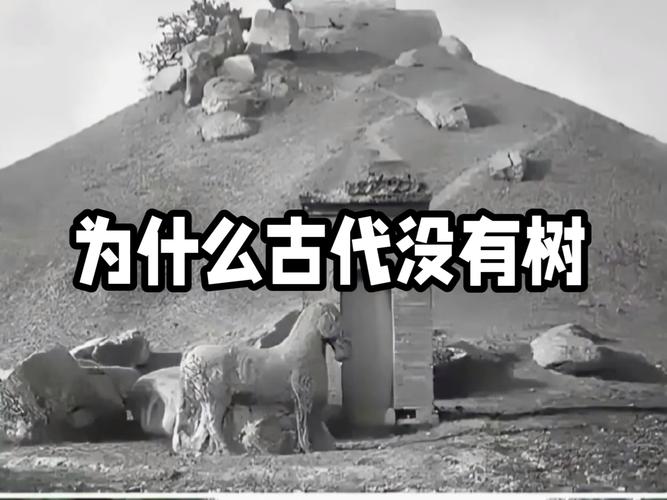 植物的起源和进化过程？植物的起源和进化过程视频？-第6张图片-优品飞百科