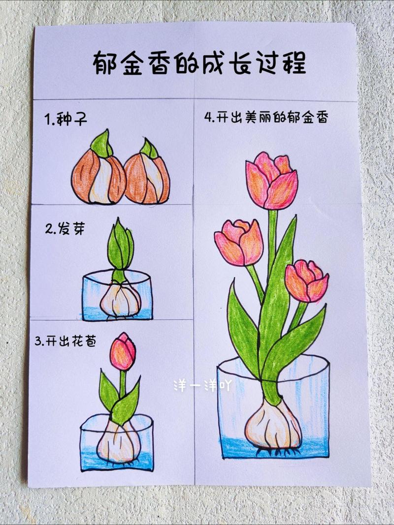 植物的起源和进化过程？植物的起源和进化过程视频？-第7张图片-优品飞百科