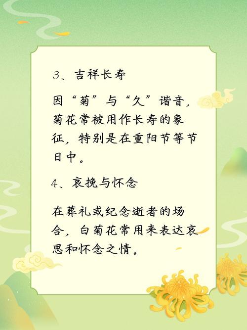送菊花代表什么意思？送菊花有什么讲究？