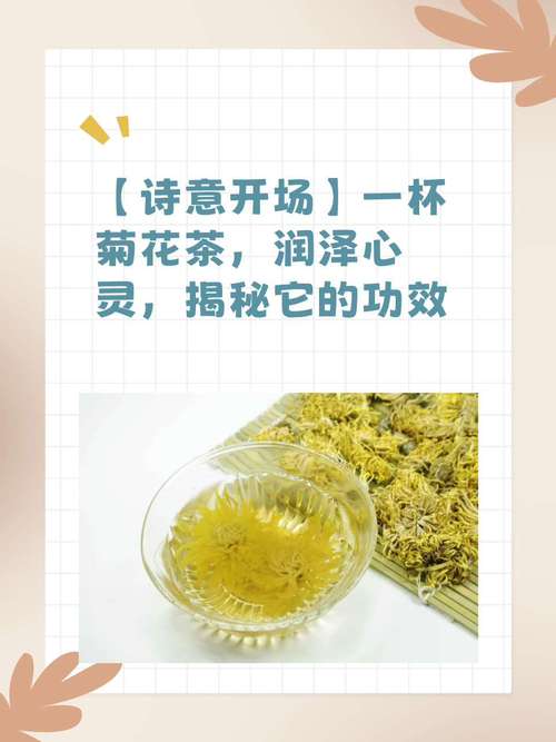 送菊花代表什么意思？送菊花有什么讲究？-第4张图片-优品飞百科