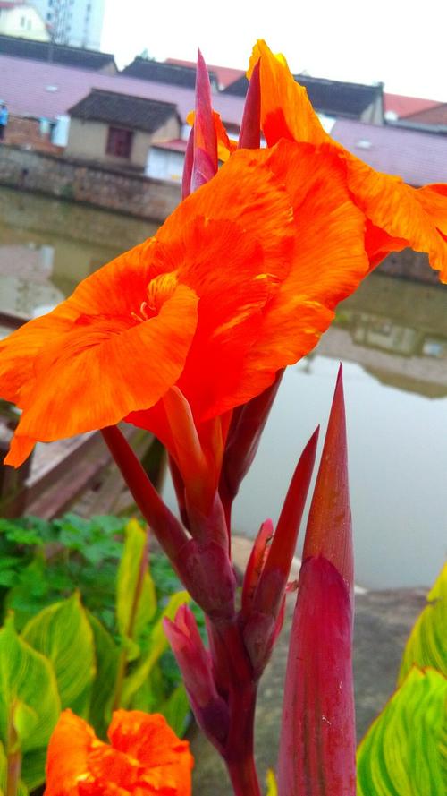 上海嘉定天气预报实时预报，上海嘉定实时天气预报24小时-第2张图片-优品飞百科