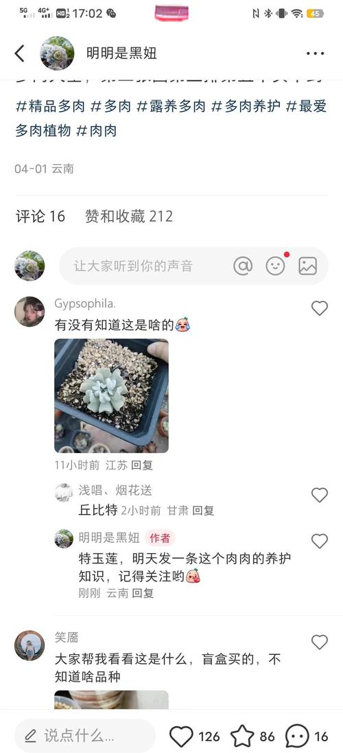新买的特玉莲怎么养？特玉莲爆盆怎么办？-第5张图片-优品飞百科