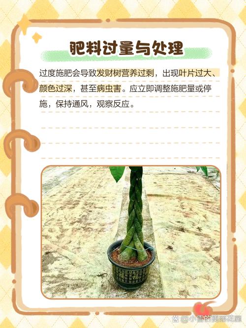 发财树施肥用什么肥料，发财树最佳肥料？-第3张图片-优品飞百科