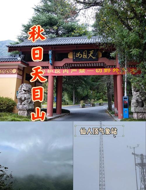 临安天气预报今天，临安天气预报今天有雨吗？-第2张图片-优品飞百科