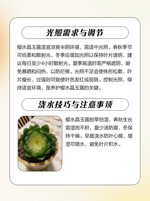 樱水晶怎么养长的好，樱水晶水培方法？