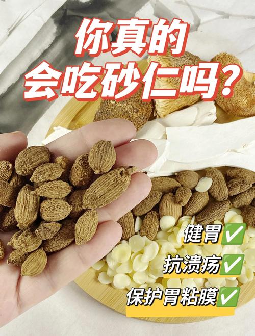 砂仁的病虫害防治?砂仁病虫害防治借鉴文献最新?-第4张图片-优品飞百科 砂仁的病虫害防治?砂仁病虫害防治借鉴文献最新?-第4张图片-优品飞百科