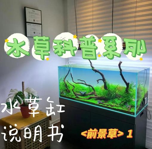 迷你矮珍珠的种植方法？迷你矮珍珠种子图片？-第6张图片-优品飞百科