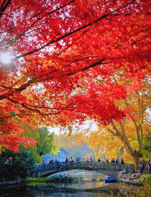 上海杨浦区今日天气预报，上海杨浦区今日天气预报详情-第3张图片-优品飞百科