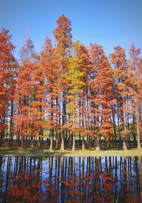 上海杨浦区今日天气预报，上海杨浦区今日天气预报详情-第5张图片-优品飞百科