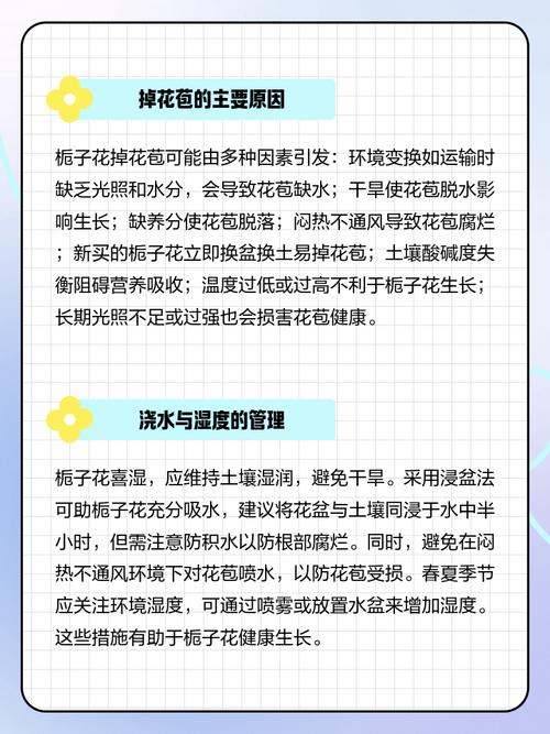 栀子花为什么掉花苞，栀子花掉花苞什么原因造成的？-第4张图片-优品飞百科
