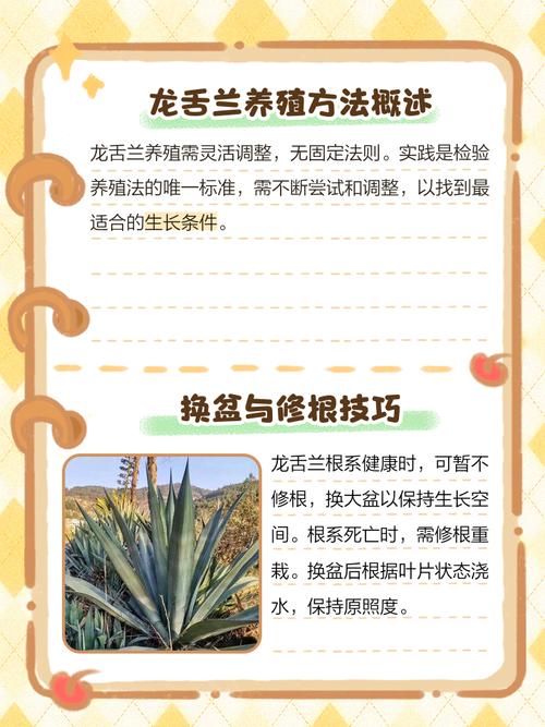 龙舌兰怎么养，冰山龙舌兰怎么养-第8张图片-优品飞百科