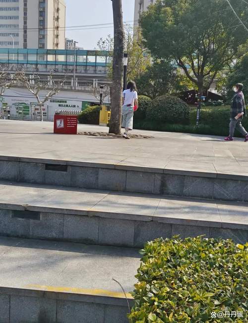 上海天气松江天气预报24小时？上海松江天气预报15天查询器？-第4张图片-优品飞百科