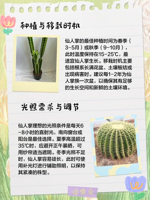 仙人指长太长了怎么办？仙人指枝条太长怎么修剪？