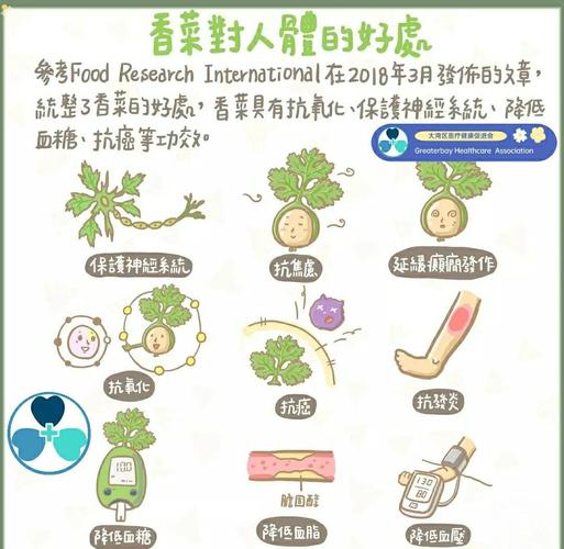 香菜的功效与作用,香菜怎么做好吃,香菜的功效与作用,香菜怎么做好吃呢?-第2张图片-优品飞百科 香菜的功效与作用,香菜怎么做好吃,香菜的功效与作用,香菜怎么做好吃呢?-第2张图片-优品飞百科