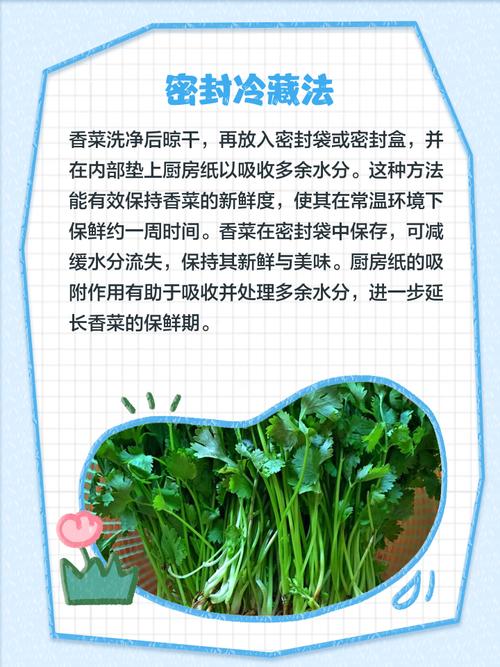 香菜的功效与作用,香菜怎么做好吃,香菜的功效与作用,香菜怎么做好吃呢?-第4张图片-优品飞百科 香菜的功效与作用,香菜怎么做好吃,香菜的功效与作用,香菜怎么做好吃呢?-第4张图片-优品飞百科