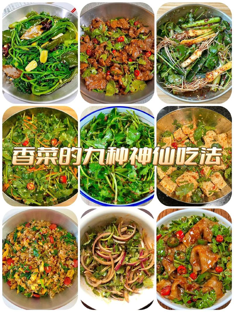 香菜的功效与作用,香菜怎么做好吃,香菜的功效与作用,香菜怎么做好吃呢?-第5张图片-优品飞百科 香菜的功效与作用,香菜怎么做好吃,香菜的功效与作用,香菜怎么做好吃呢?-第5张图片-优品飞百科
