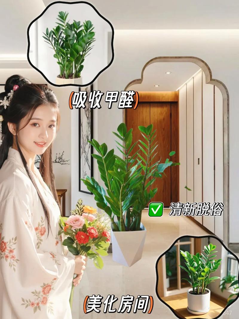 金钱树有毒吗，金钱树有毒吗?能在家里养吗?-第6张图片-优品飞百科