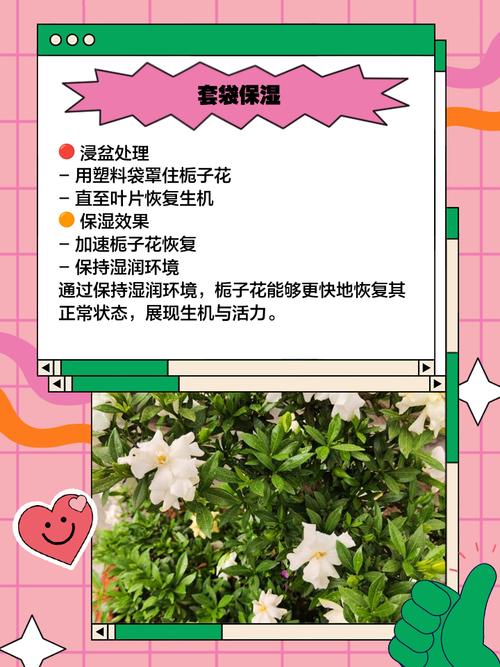 移栽的栀子花叶子蔫了是什么原因，移栽栀子花枯萎了怎么办-第3张图片-优品飞百科